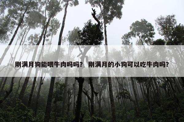 刚满月狗能喂牛肉吗吗？ 刚满月的小狗可以吃牛肉吗？