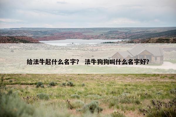 给法牛起什么名字？ 法牛狗狗叫什么名字好？