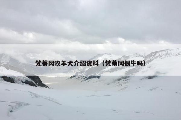 梵蒂冈牧羊犬介绍资料（梵蒂冈很牛吗）