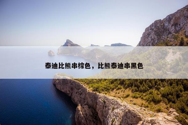泰迪比熊串棕色，比熊泰迪串黑色