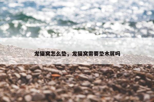 龙猫窝怎么垫，龙猫窝需要垫木屑吗
