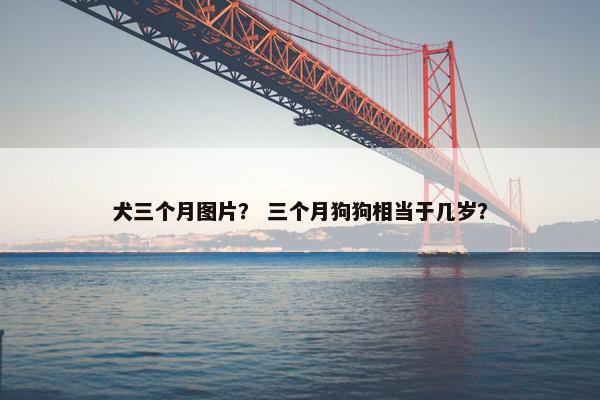 犬三个月图片？ 三个月狗狗相当于几岁？