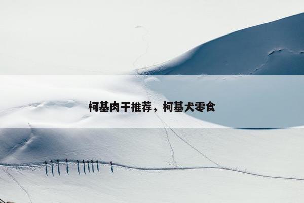 柯基肉干推荐，柯基犬零食