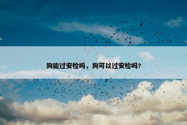 狗能过安检吗，狗可以过安检吗?