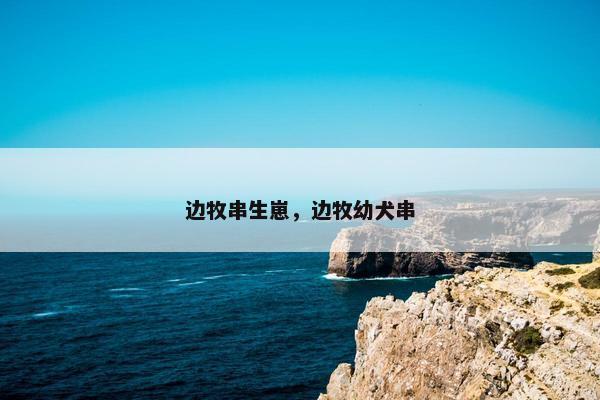 边牧串生崽，边牧幼犬串