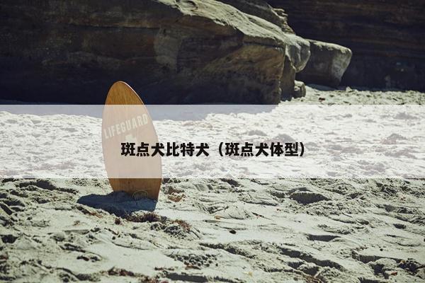 斑点犬比特犬（斑点犬体型）