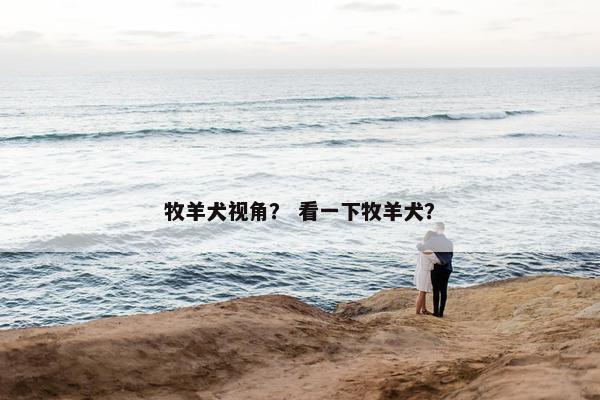 牧羊犬视角？ 看一下牧羊犬？