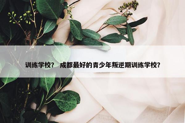 训练学校？ 成都最好的青少年叛逆期训练学校？