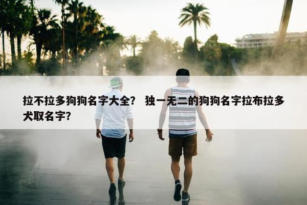 拉不拉多狗狗名字大全？ 独一无二的狗狗名字拉布拉多犬取名字？
