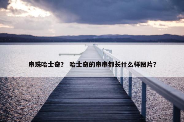串珠哈士奇？ 哈士奇的串串都长什么样图片？