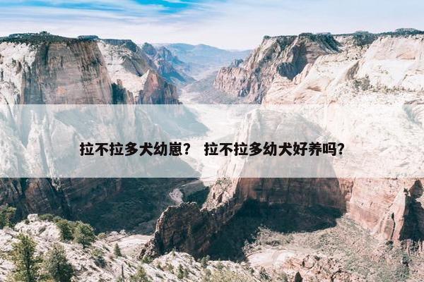 拉不拉多犬幼崽？ 拉不拉多幼犬好养吗？