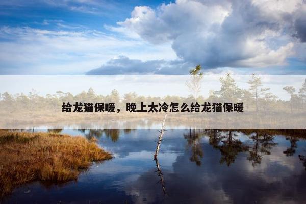 给龙猫保暖，晚上太冷怎么给龙猫保暖