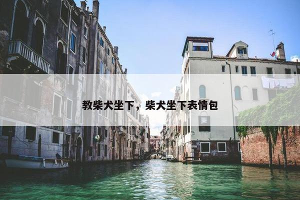 教柴犬坐下，柴犬坐下表情包