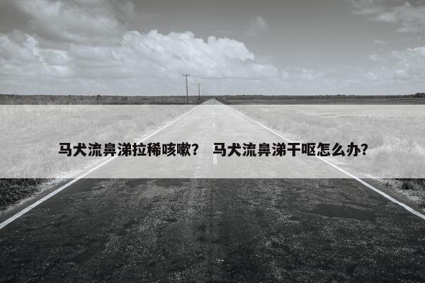 马犬流鼻涕拉稀咳嗽？ 马犬流鼻涕干呕怎么办？