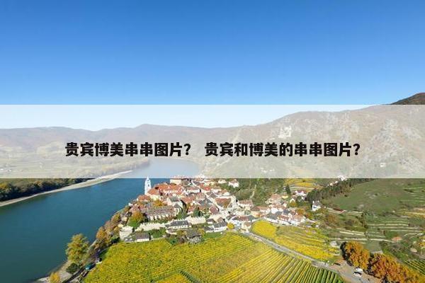 贵宾博美串串图片？ 贵宾和博美的串串图片？