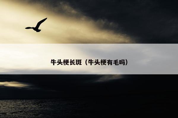 牛头梗长斑（牛头梗有毛吗）