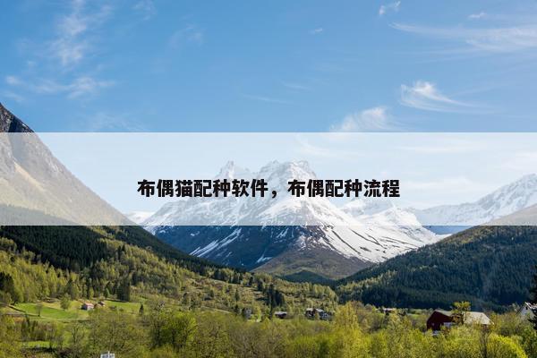 布偶猫配种软件，布偶配种流程