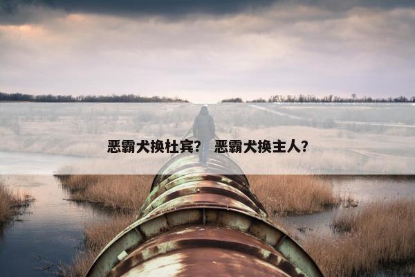 恶霸犬换杜宾？ 恶霸犬换主人？
