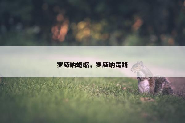 罗威纳蜷缩，罗威纳走路