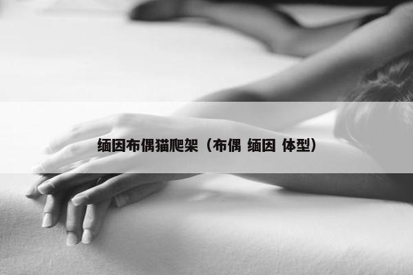 缅因布偶猫爬架（布偶 缅因 体型）