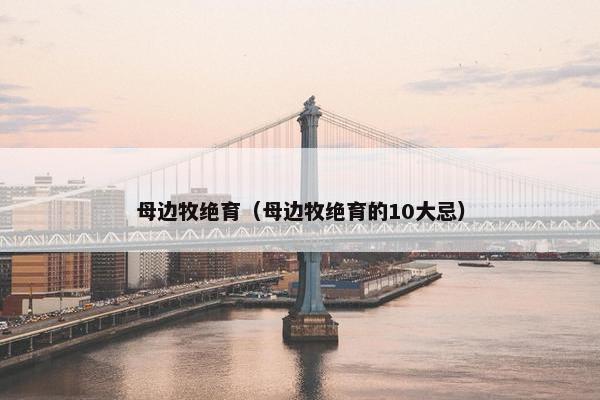 母边牧绝育（母边牧绝育的10大忌）