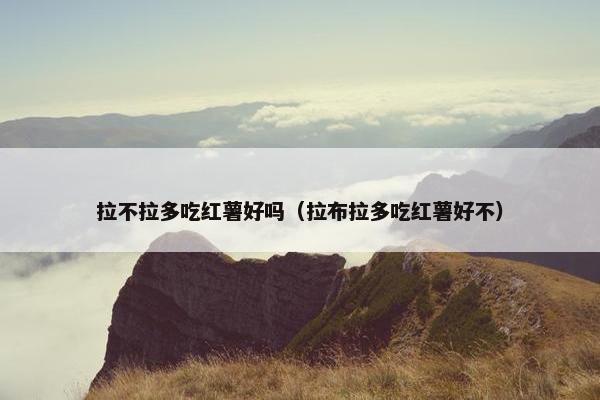 拉不拉多吃红薯好吗（拉布拉多吃红薯好不）
