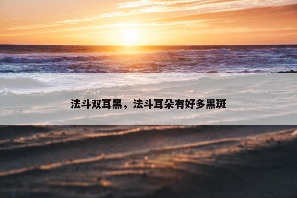 法斗双耳黑，法斗耳朵有好多黑斑