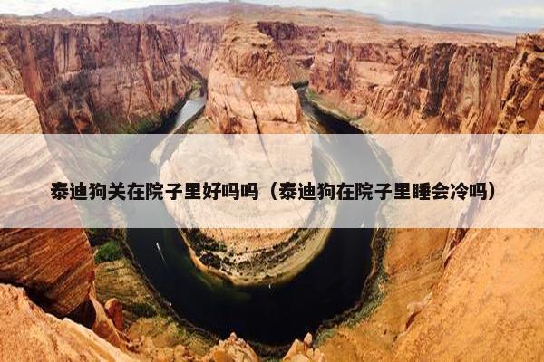 泰迪狗关在院子里好吗吗（泰迪狗在院子里睡会冷吗）