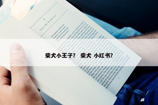 柴犬小王子？ 柴犬 小红书？