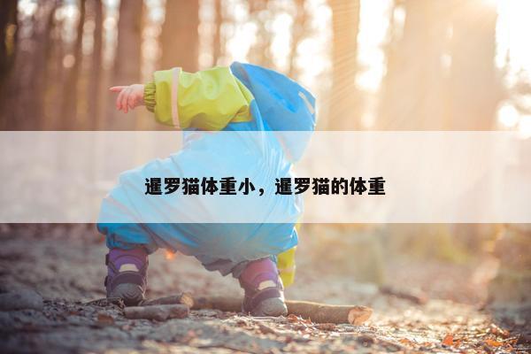 暹罗猫体重小，暹罗猫的体重