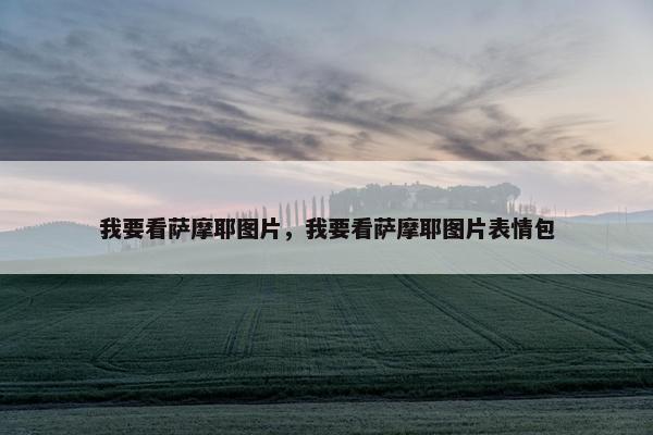 我要看萨摩耶图片，我要看萨摩耶图片表情包