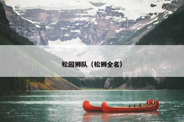 松园狮队（松狮全名）