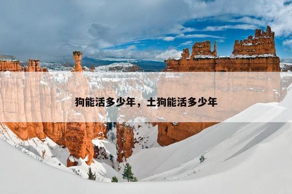 狗能活多少年，土狗能活多少年