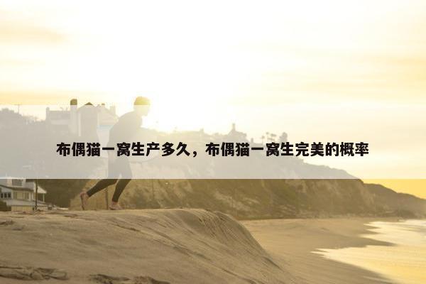布偶猫一窝生产多久，布偶猫一窝生完美的概率