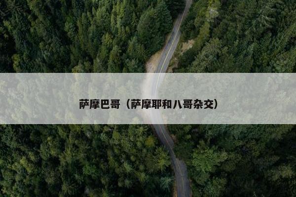 萨摩巴哥（萨摩耶和八哥杂交）