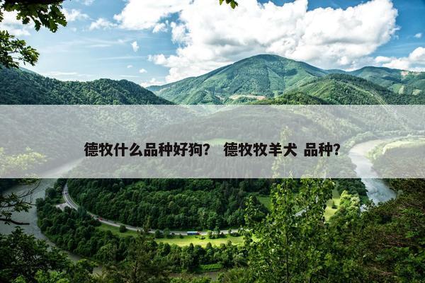 德牧什么品种好狗？ 德牧牧羊犬 品种？