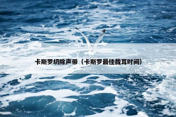 卡斯罗切除声带（卡斯罗最佳裁耳时间）
