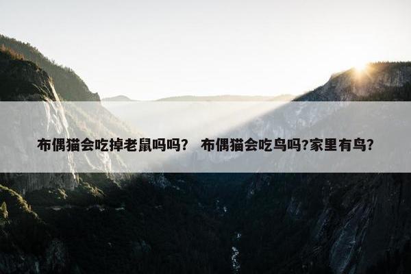 布偶猫会吃掉老鼠吗吗？ 布偶猫会吃鸟吗?家里有鸟？