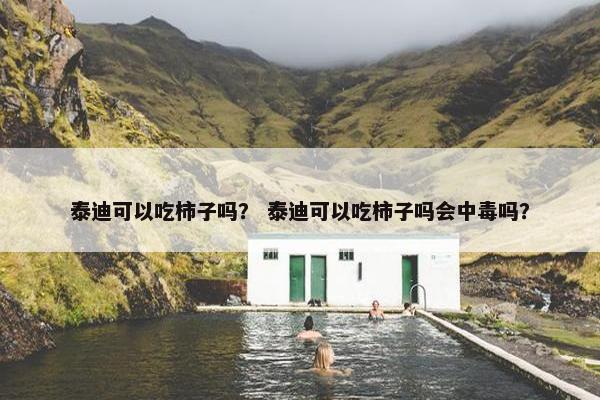 泰迪可以吃柿子吗？ 泰迪可以吃柿子吗会中毒吗？