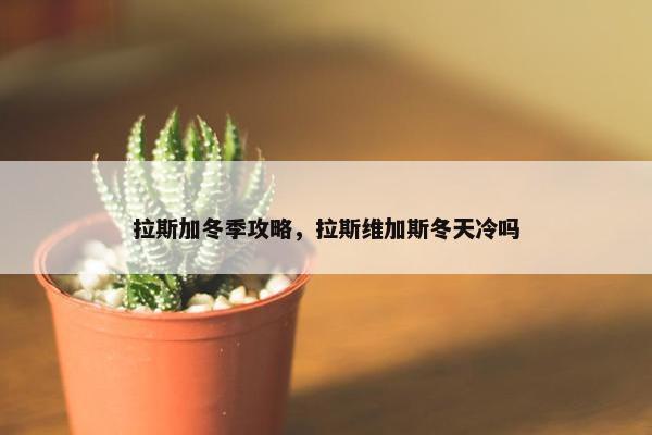 拉斯加冬季攻略，拉斯维加斯冬天冷吗
