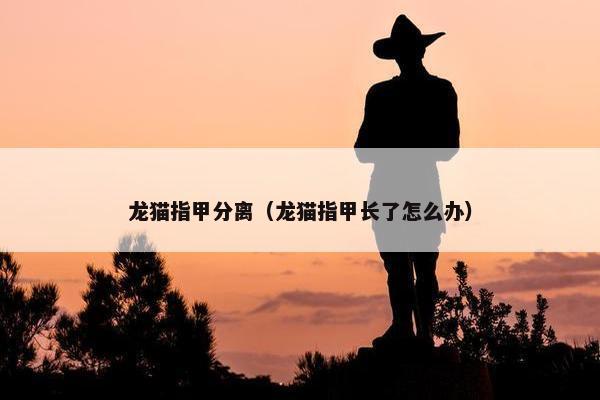 龙猫指甲分离（龙猫指甲长了怎么办）