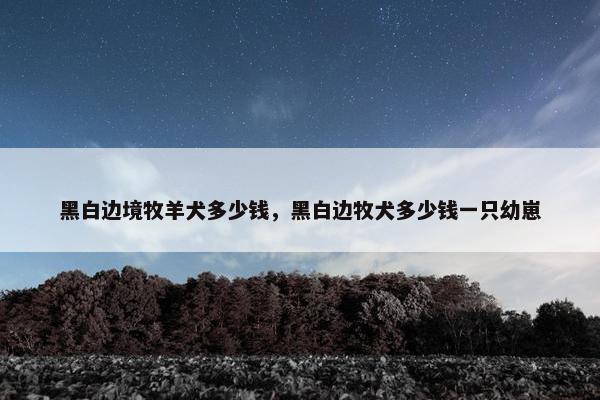 黑白边境牧羊犬多少钱，黑白边牧犬多少钱一只幼崽