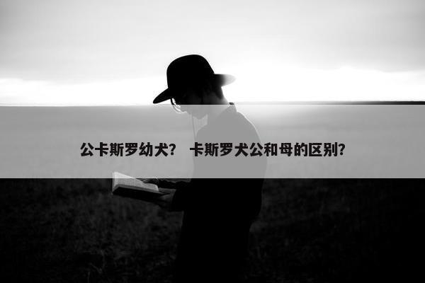 公卡斯罗幼犬？ 卡斯罗犬公和母的区别？