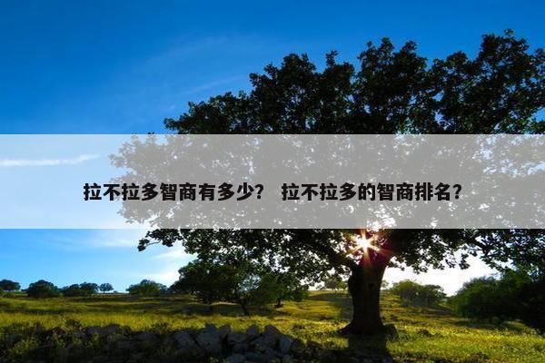 拉不拉多智商有多少？ 拉不拉多的智商排名？