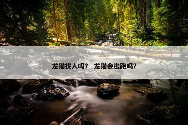 龙猫找人吗？ 龙猫会逃跑吗？