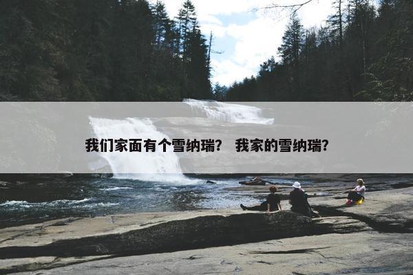 我们家面有个雪纳瑞？ 我家的雪纳瑞？