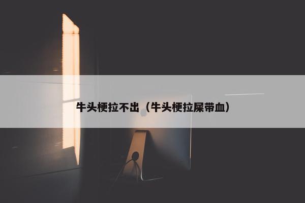 牛头梗拉不出（牛头梗拉屎带血）