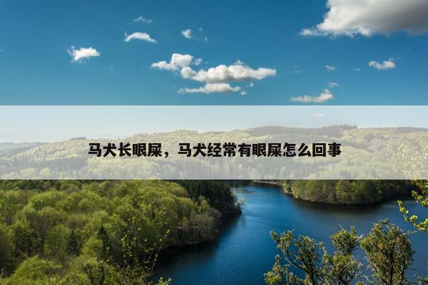 马犬长眼屎，马犬经常有眼屎怎么回事