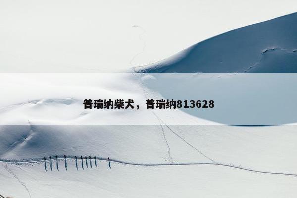 普瑞纳柴犬，普瑞纳813628