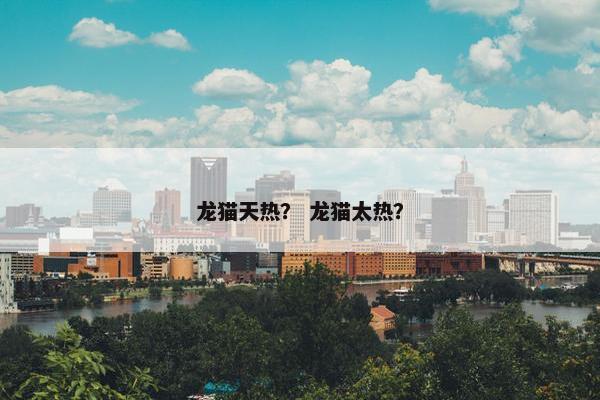 龙猫天热？ 龙猫太热？